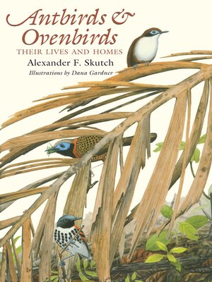 cover image of Antbirds and Ovenbirds: Their Lives and Homes
